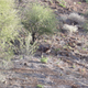 Illustration for article titled Arkaroola, An Ancient Wilderness